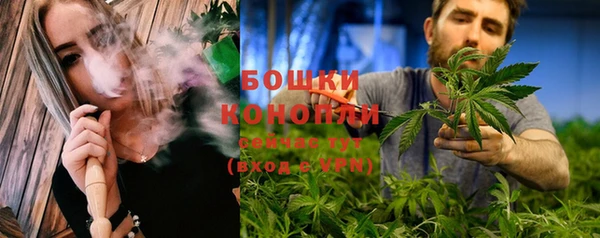 mdpv Каменка