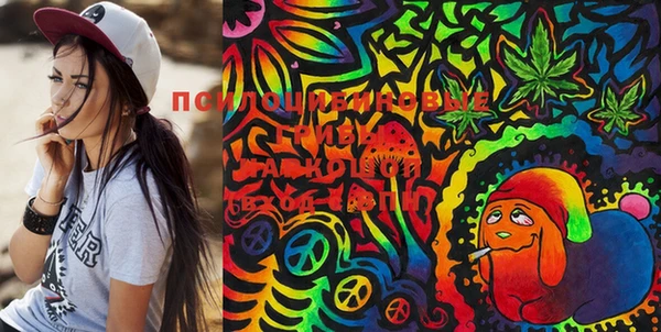 PSILOCYBIN Инсар